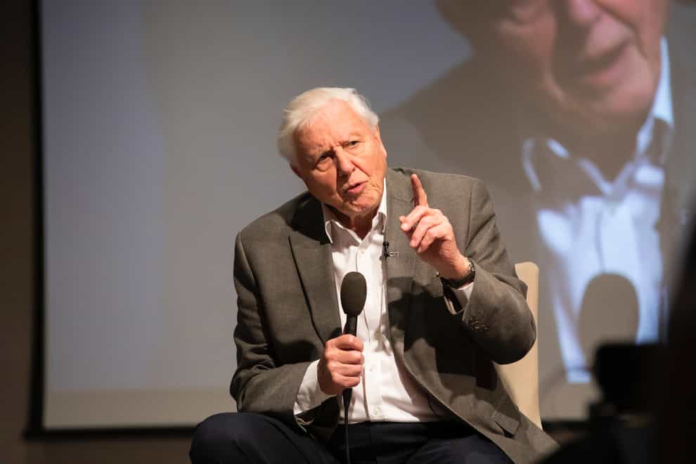 It took Attenborough just a few hours to reach one million followers on the social media site