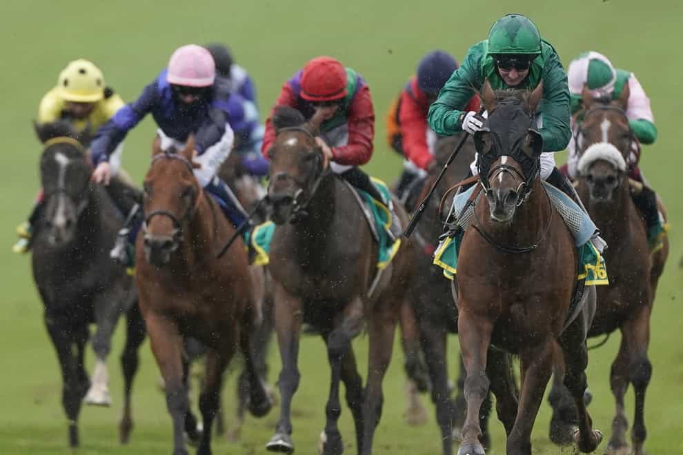 Majestic Dawn led the field a merry dance in the Cambridgeshire