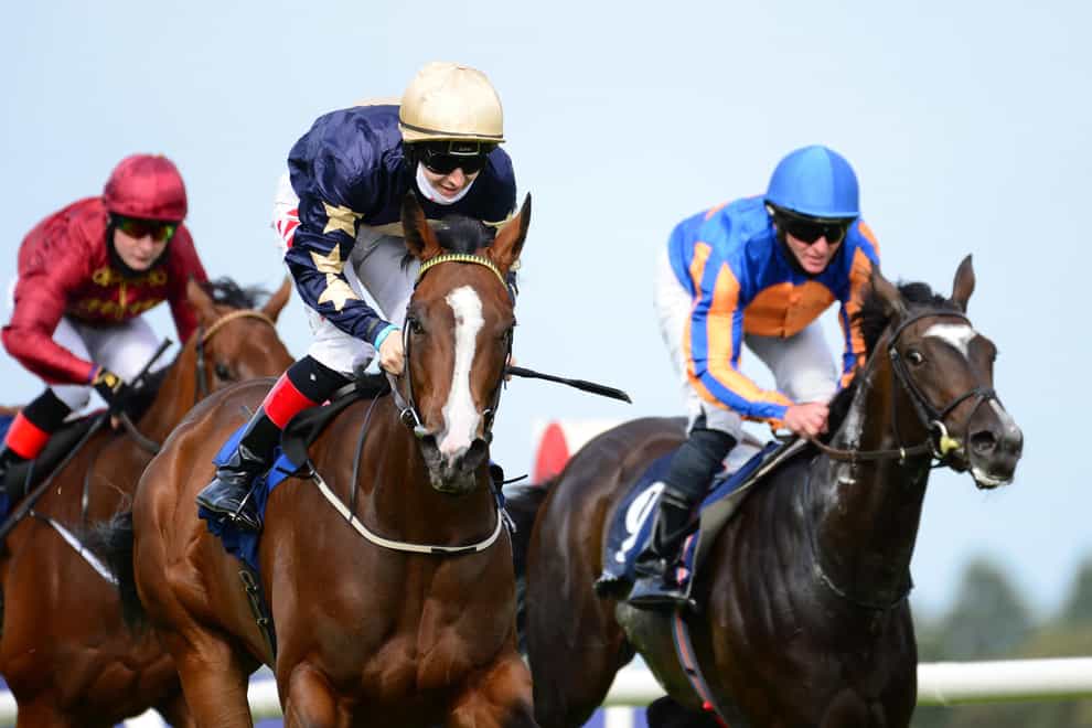 Champers Elysees (white face) has been supplemented for the Sun Chariot