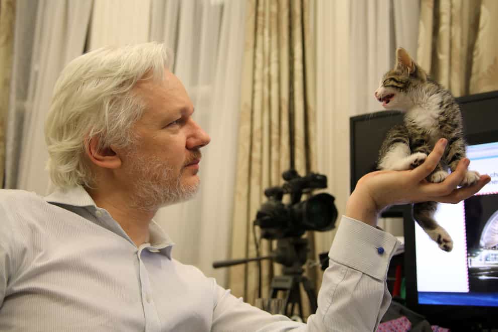 Julian Assange at the embassy