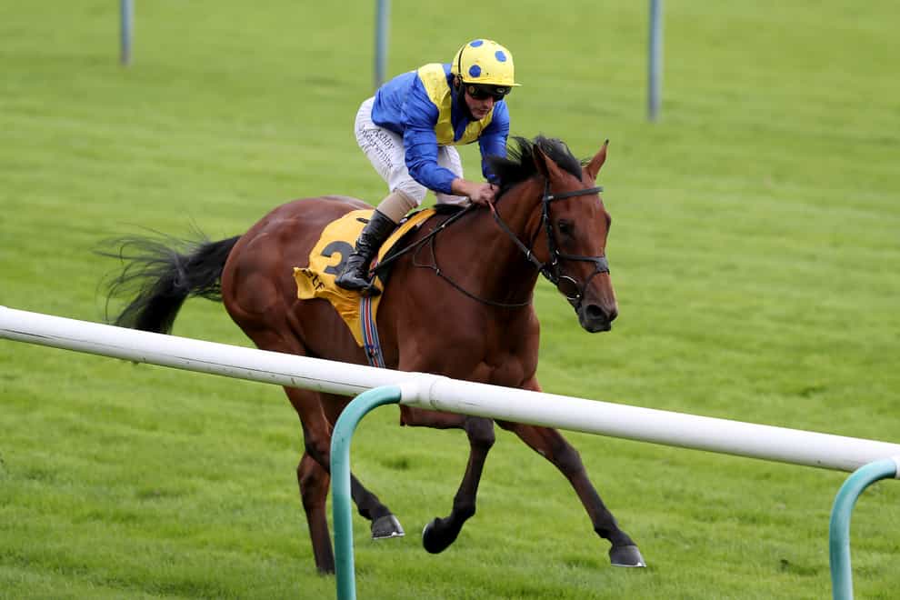 Favorite Moon will run at York this weekend