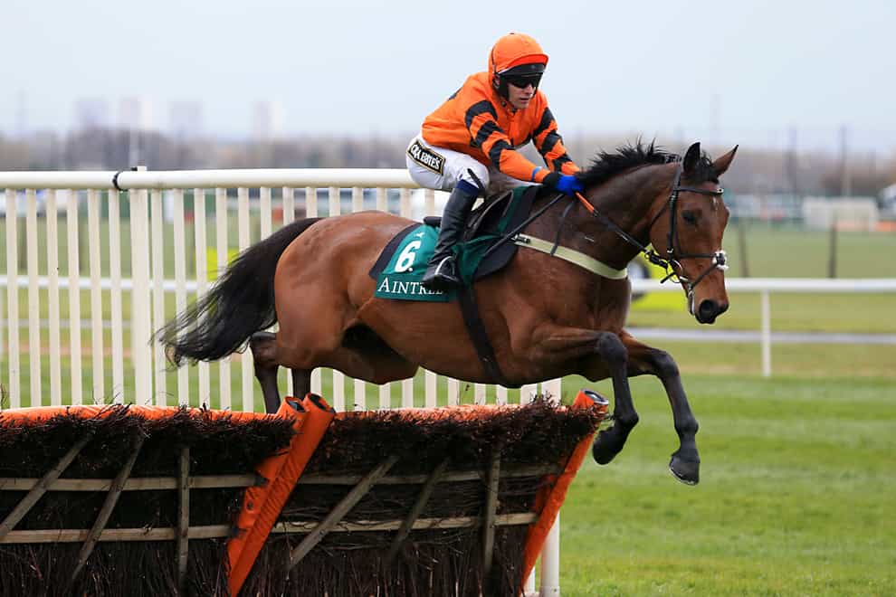 Thistlecrack will be back for more this season at the age of 12