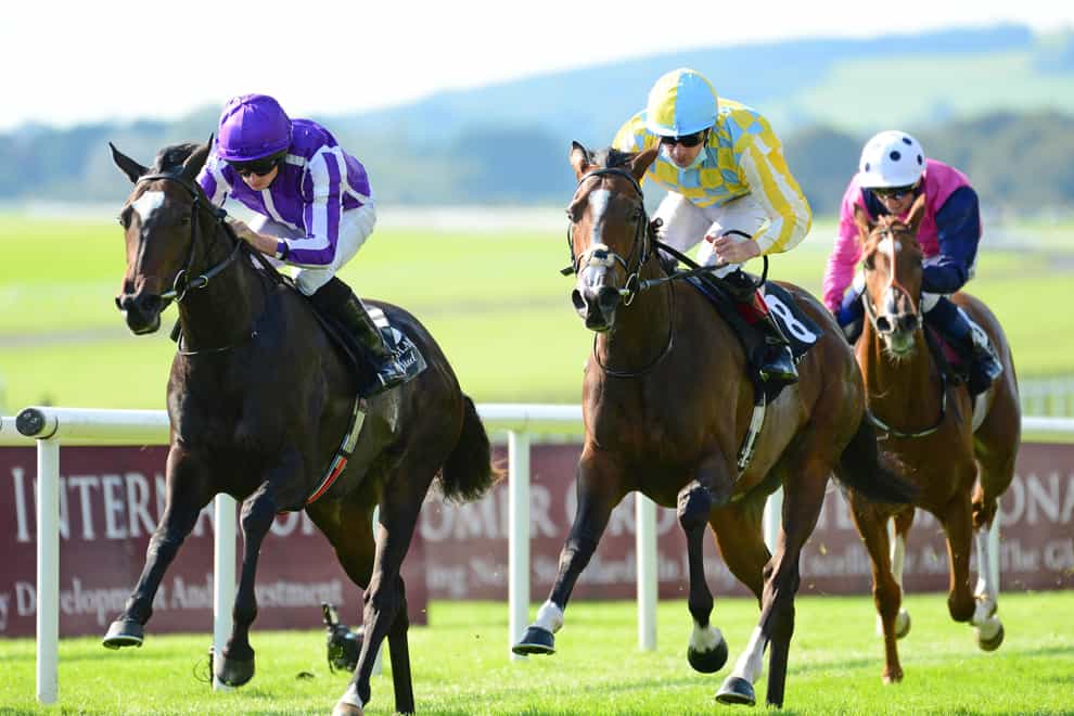 Shale (left) sees off Pretty Gorgeous in the Moyglare Stud Stakes
