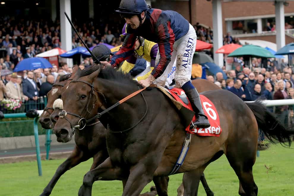 The Tin Man runs in the Bengough Stakes at York