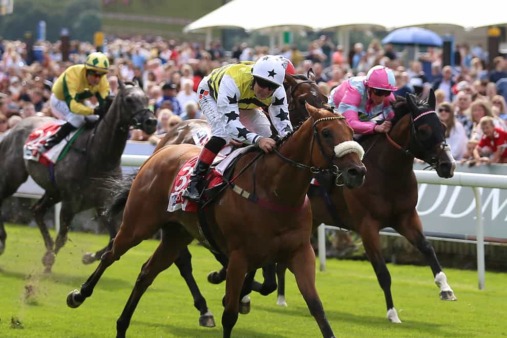 Dakota Gold won at York for the fifth time