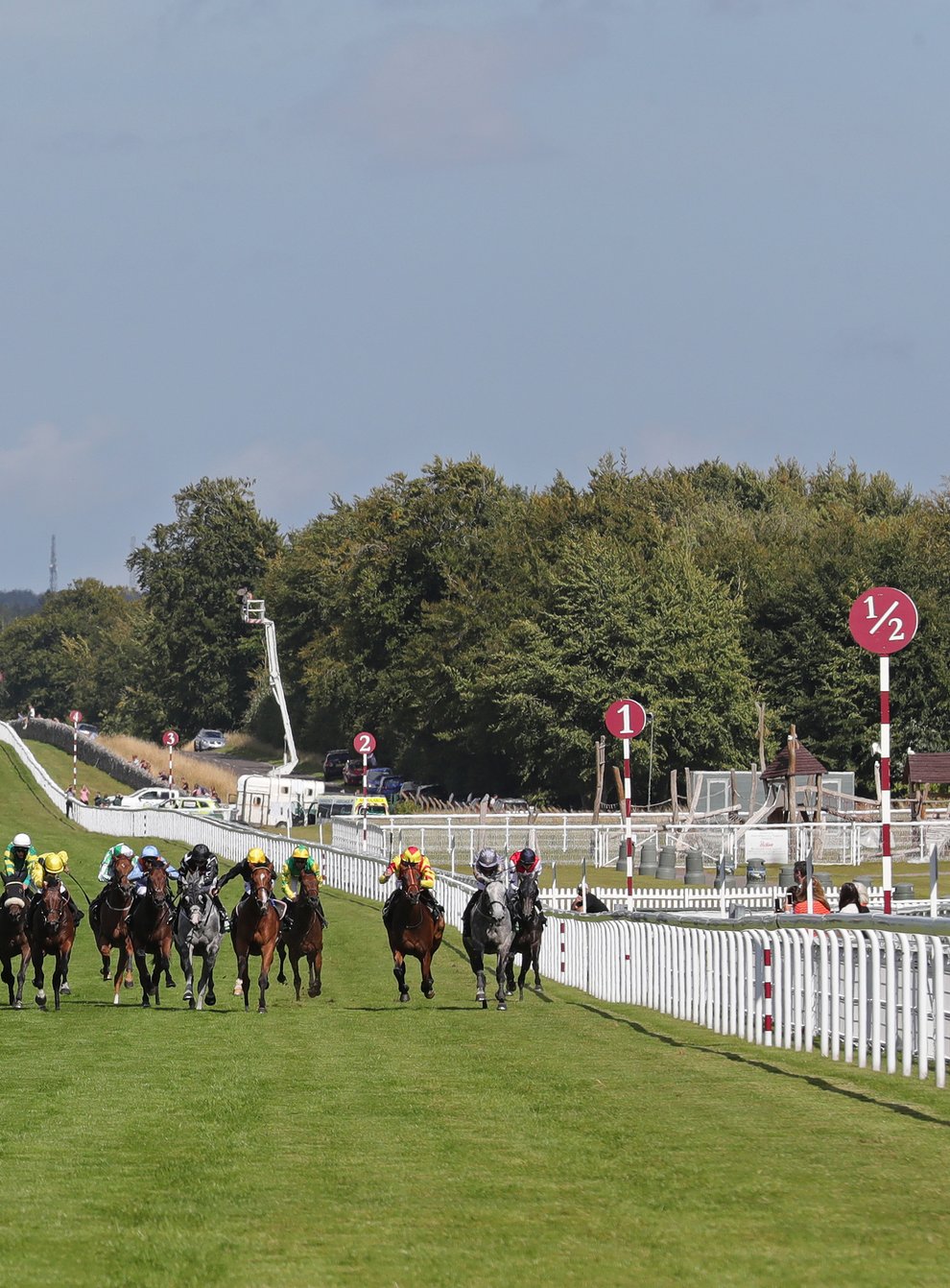 Runners and riders in action at Goodwood