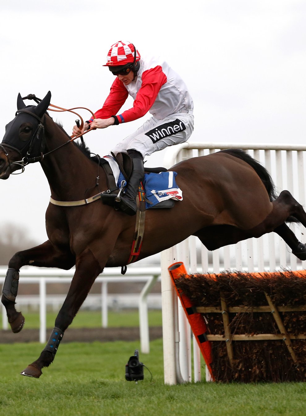Highway One O Two winning The Sky Bet Dovecote Novices' Hurdle Race run during Betway Chase Day at Kempton