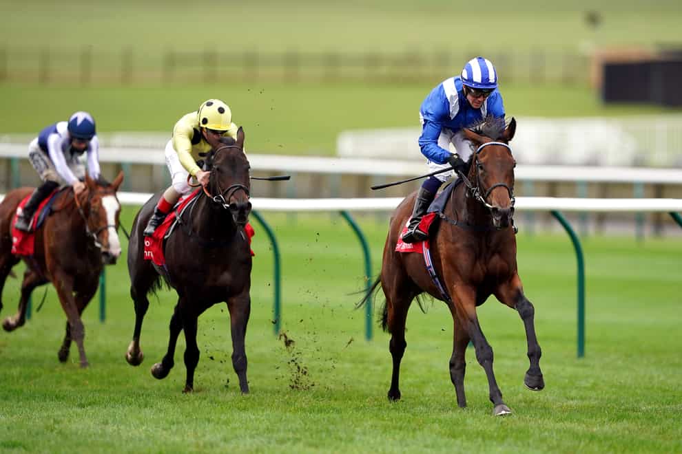 Group One-winning filly Nazeef takes on rhe colts in the Queen Elizabeth II Stakes at Ascot