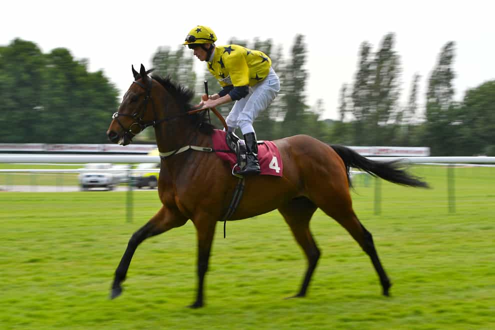 Euchen Glen could be bound for Newbury after his shock win at York
