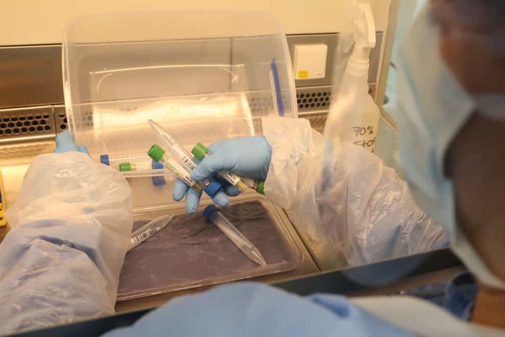 A coronavirus laboratory