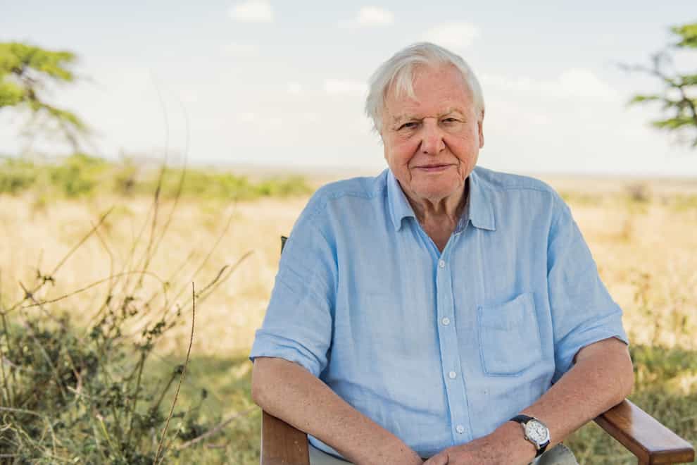 <p>Attenborough became the fastest Instagram user to reach one million followers back in September</p>