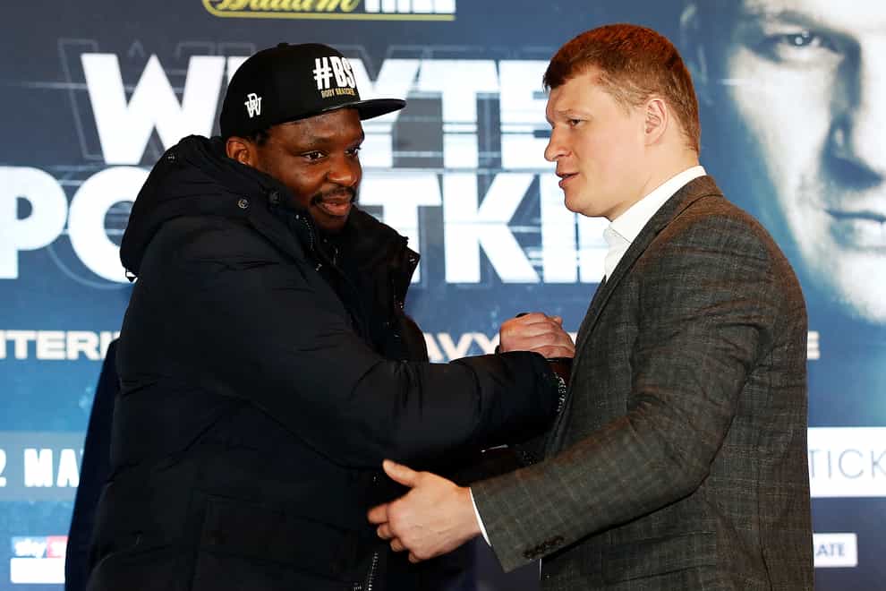 <p>Whyte and Povetkin are now due to rematch in January</p>
