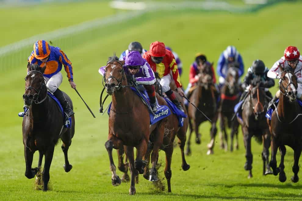 Wembley (left) goes for glory in the Vertem Futurity at Doncaster after finishing second to stablemate St Mark's Basilica in the Dewhurst Stakes