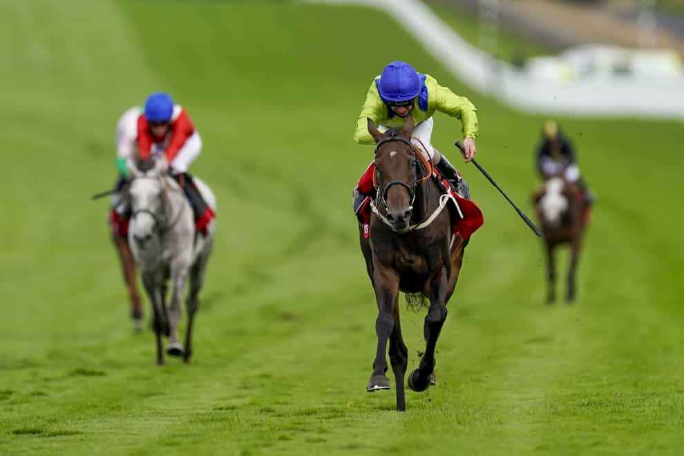 Subjectivist, winning at Goodwood, again showed his liking for heavy ground with victory in the Prix Royal-Oak at ParisLongchamp