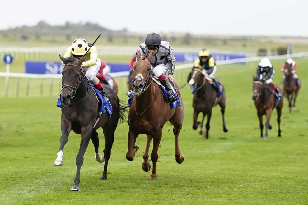 Cloak Of Spirits (left) goes for more Listed success at Lingfield