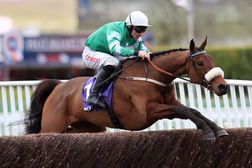 Presenting Percy has his first start for Gordon Elliott in the Ladbrokes Champion Chase at Down Royal