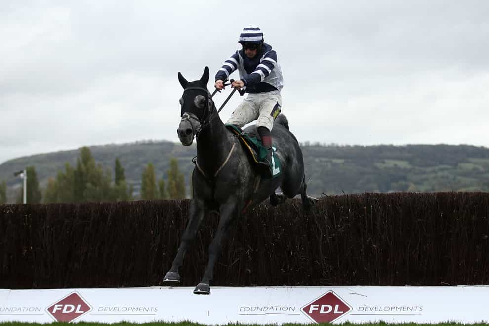 Sam Twiston-Davies is confident Al Dancer can be competitive in the Paddy Power Gold Cup