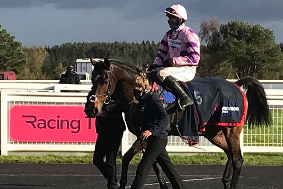 Greaneteen was the highlight of a big day for Paul Nicholls and Harry Cobden at Exeter