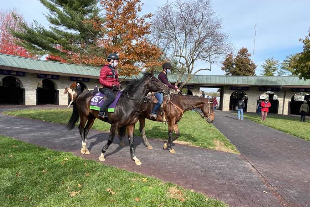 Kameko pleased connections in a pre-Breeders' Cup Mile workout