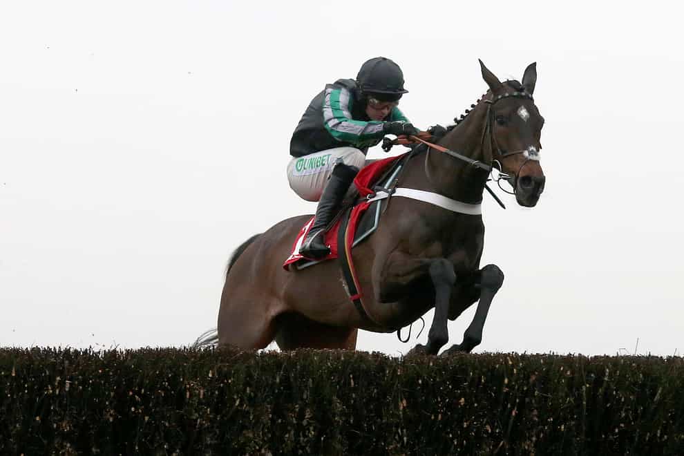 Altior is set for a racecourse gallop at Newbury