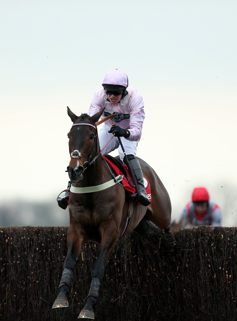 Global Citizen is likely to make his next appearance at the Ladbrokes Winter Carnival at Newbury
