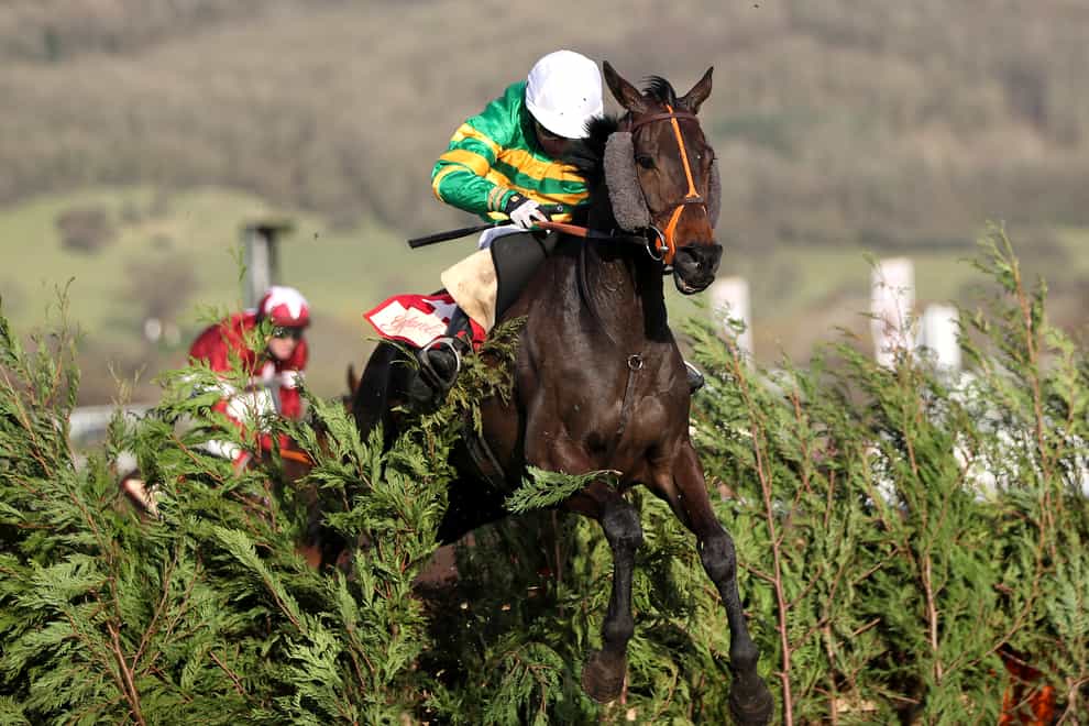 Easysland was an impressive winner at the Festival in March