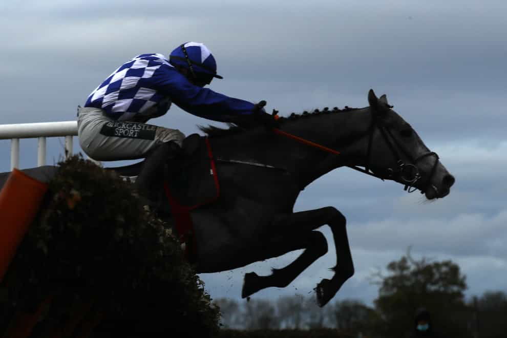 Duffle Coat bids to take his unbeaten record over hurdles to four at Cheltenham