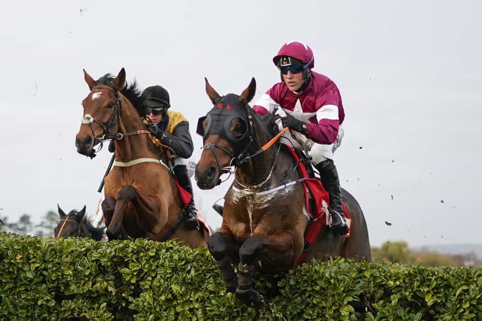 Robbie Power and Tiger Roll in action at Cheltenham
