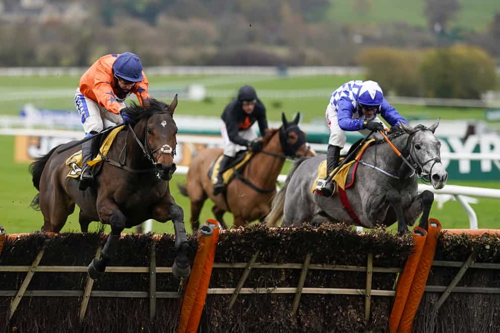 Duffle Coat (blue) on his way to victory at Cheltenham