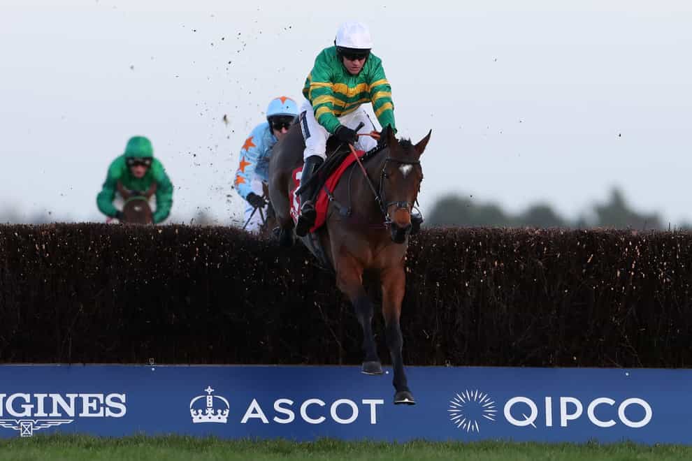 Defi Du Seuil's only blemish last season was in the Champion Chase