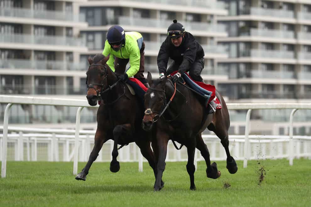 Epatante (left) with Altior at Newbury on Tuesday
