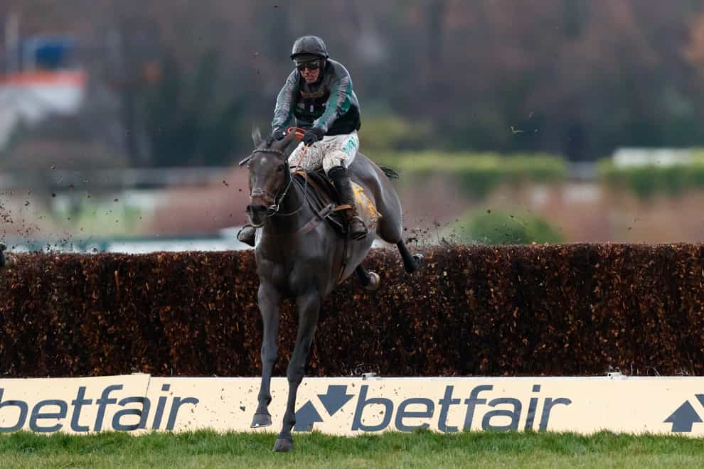 Altior will return in the Tingle Creek Chase