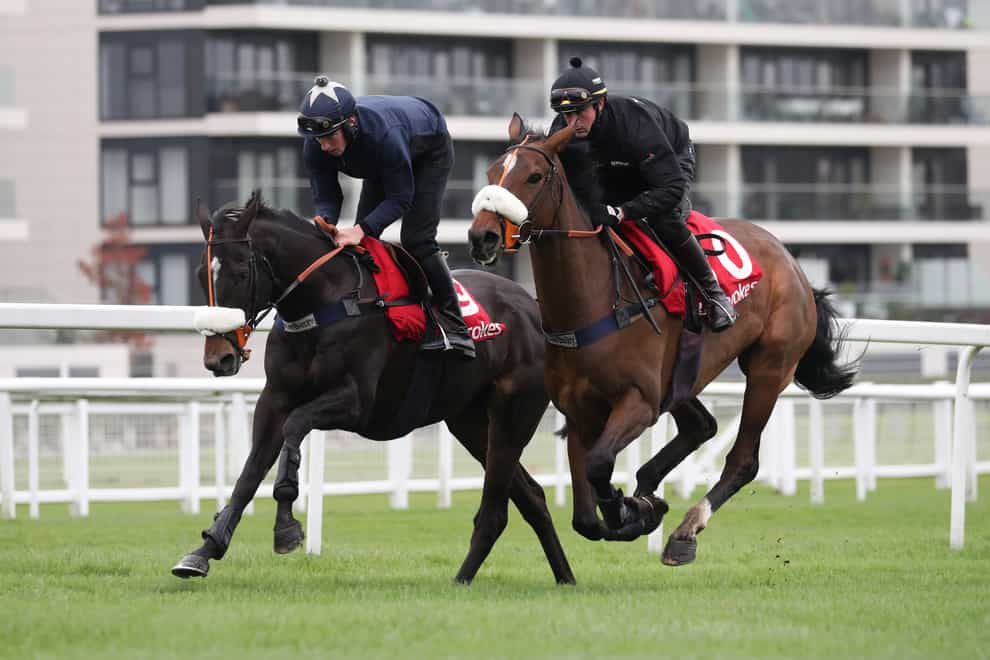 Newtide (right) and Vinndication in action at Newbury