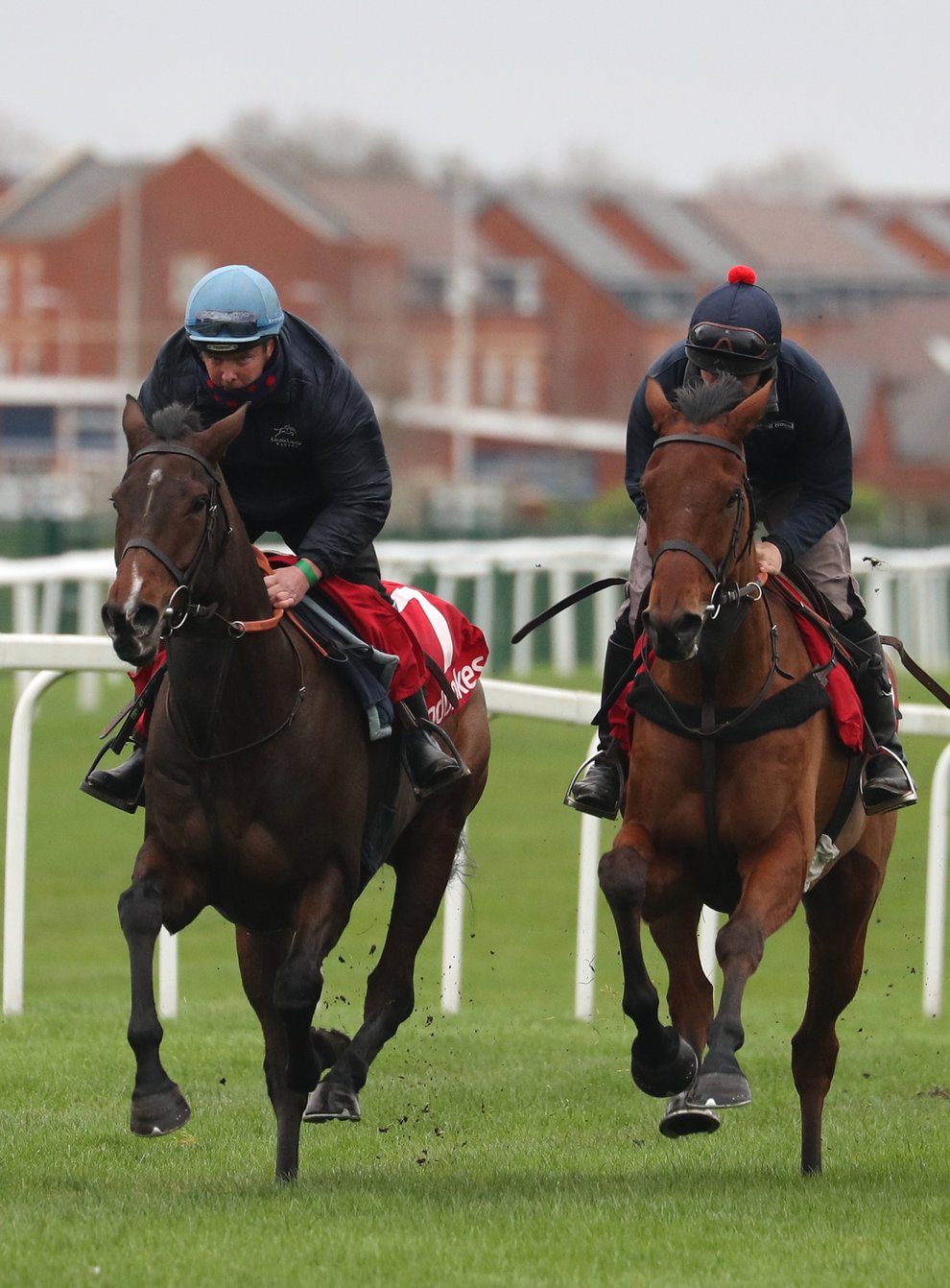 Paisley Park (left) in action at Newbury on Tuesday