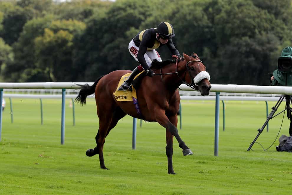 Ranch Hand who will head to Haydock next month after making a winning debut over hurdles at Exeter