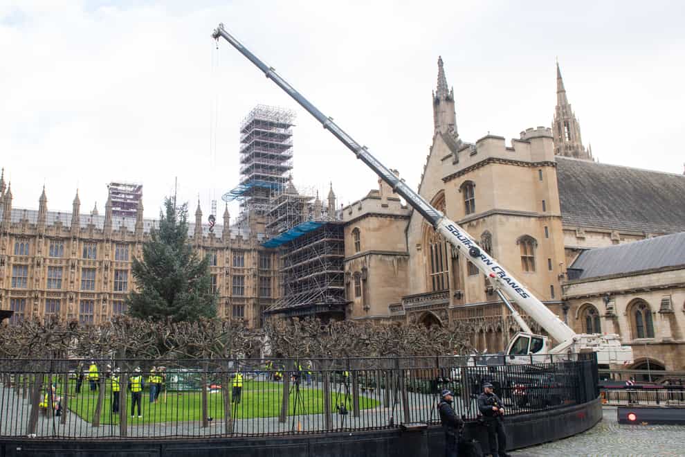 Workers position the Parliament Christmas tree in New Palace Yard, outside the Houses of Parliament