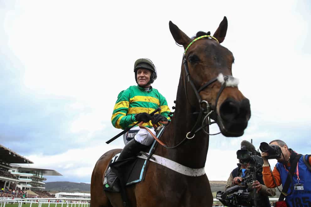 Epatante after wining the Champion Hurdle at Cheltenham