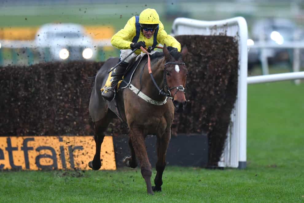 Lostintranslation could finish only third in this year's Betfair Chase