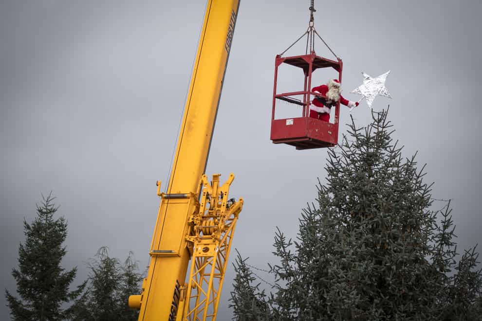 Santa Claus uses a crane to place the star on top of the Christmas tree, one of the largest in Scotland, at Blair Drummond Safari Park, Stirling, as staff put the finishing touches in place ahead of the festive season.