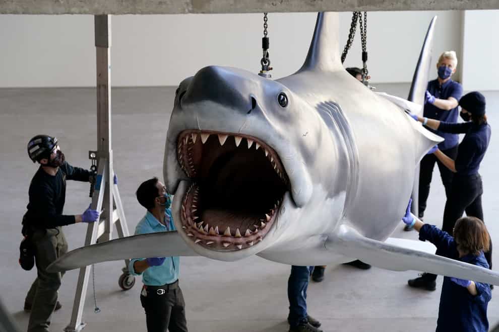 A replica of Bruce, the shark featured in Steven Spielberg’s classic 1975 film Jaws, is lifted into a suspended position for display at the new Academy of Museum of Motion Pictures (Chris Pizzello/AP)