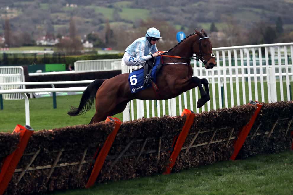 The unbeaten Honeysuckle bids to repeat last year's victory in the Hatton's Grace Hurdle