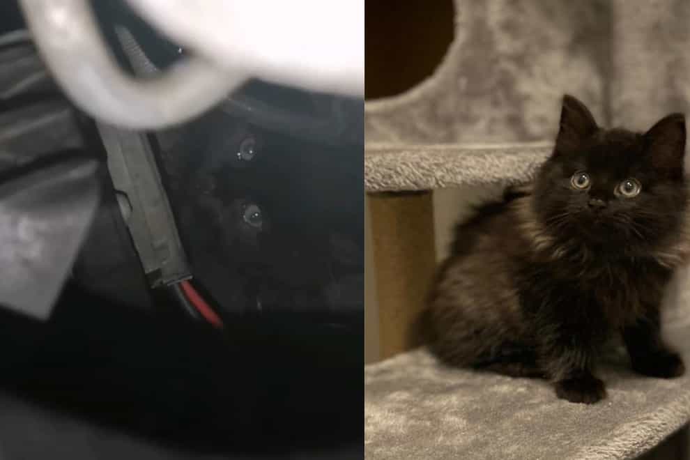 Kitten rescued from inside a car engine