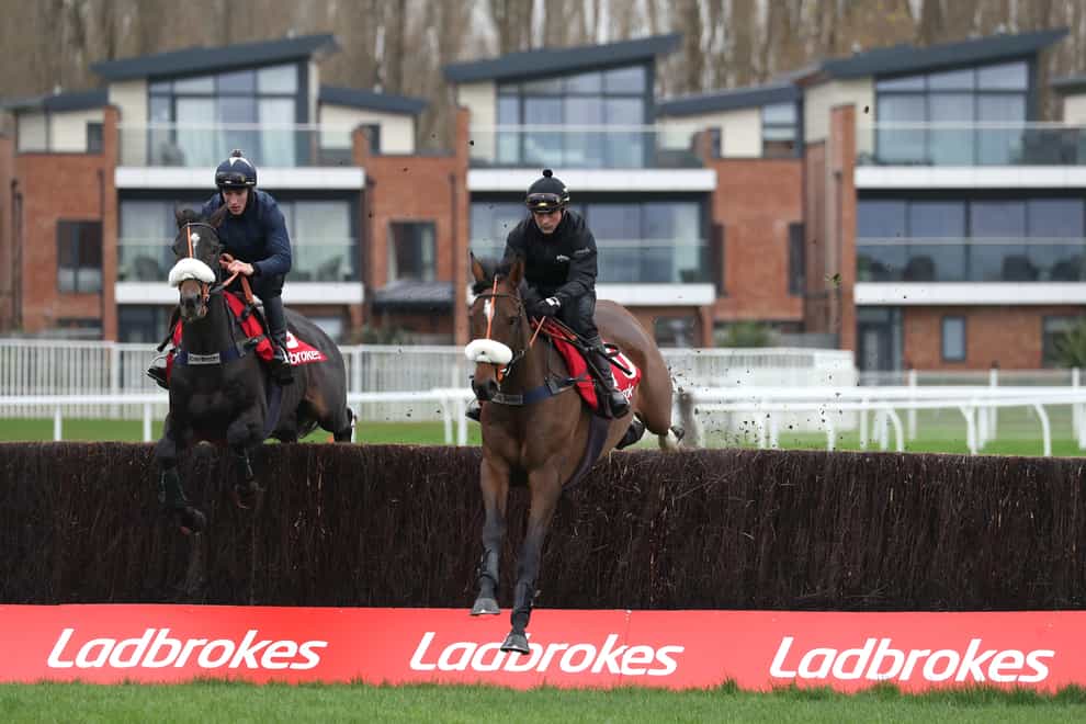 Vinndication (left) did not please everyone with his schooling at Newbury, but trainer is unperturbed about his Ladbrokes Trophy chances