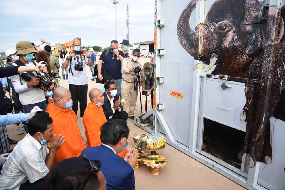 The container holding Kaavan the elephant is blessed by monks