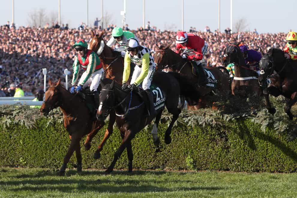 Vieux Lion Rouge (left) is regarded as an Aintree specialist
