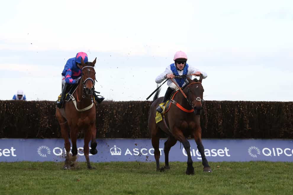 Waiting Patiently (right) is on course to make his comeback in the Ladbrokes King George VI Chase at Kempton