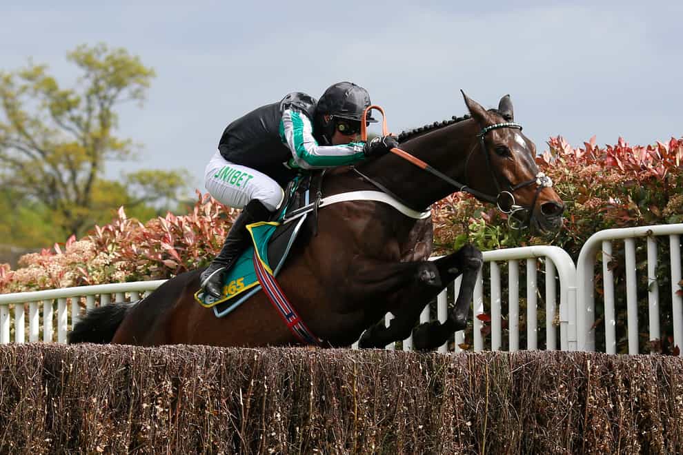 Altior is the main attraction in the Tingle Creek