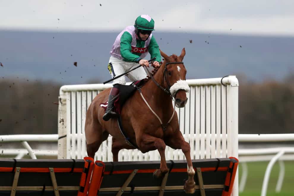 Any News steps up in grade as he bids to maintain his unbeaten record over hurdles