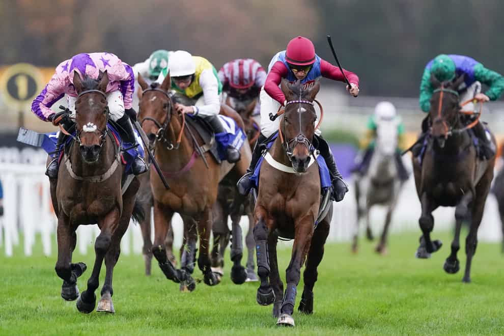 Portrush Ted and Gavin Sheehan (front right) clear the last to win The Pertemps Network Handicap Hurdle at Sandown Park Racecourse