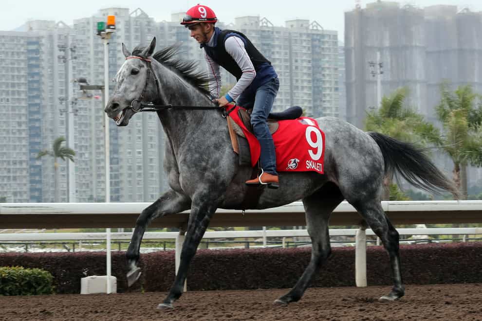 Skalleti warms up for his Hong Kong Cup challenge